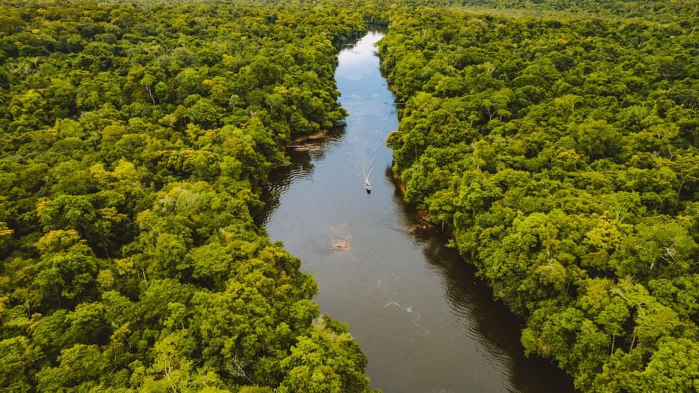 Amazzonia